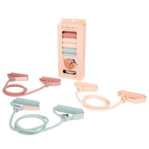 Blogilates Resistance Bands